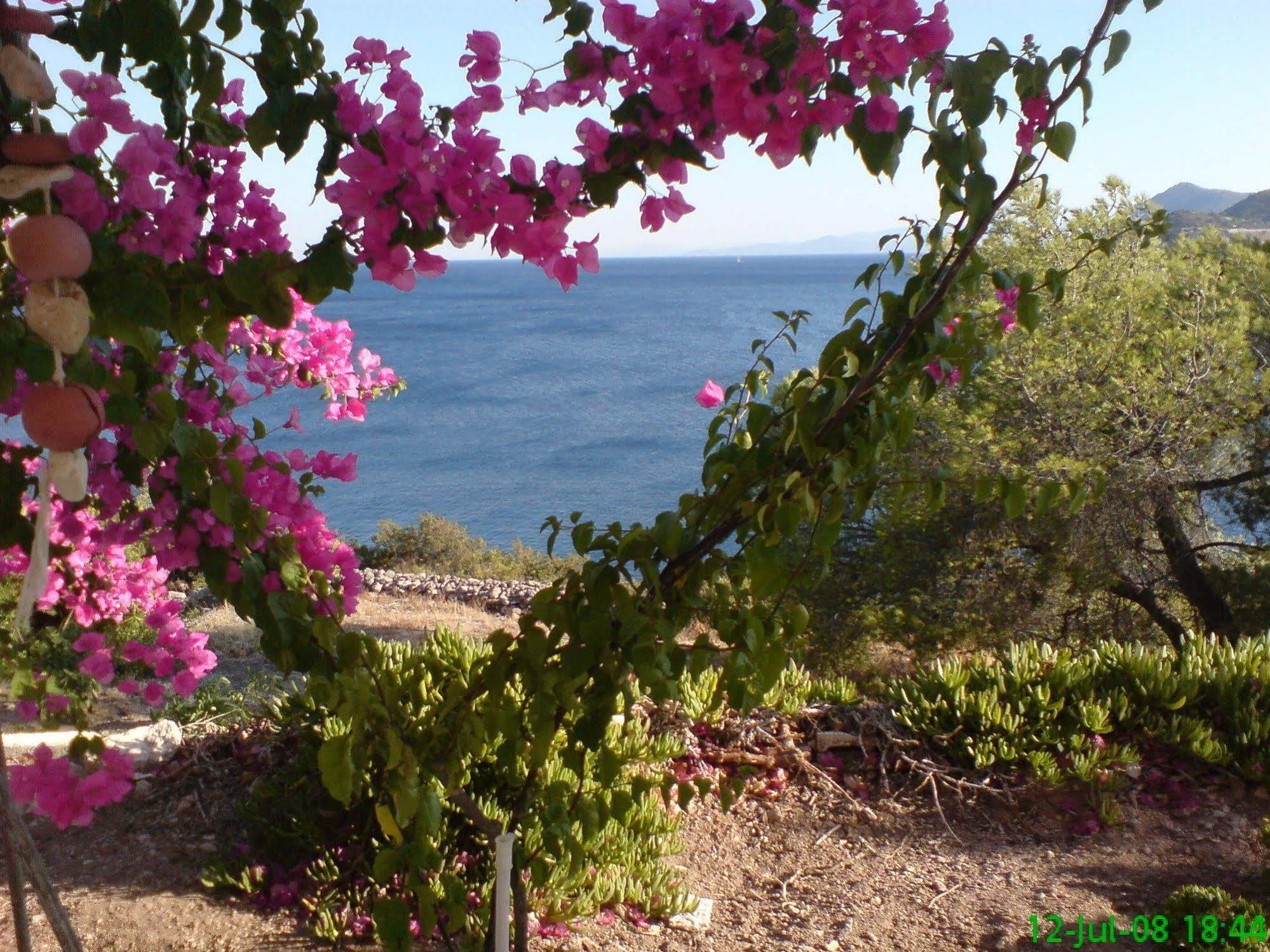 Kavos Bay Seafront Hotel Agia Marina  ภายนอก รูปภาพ
