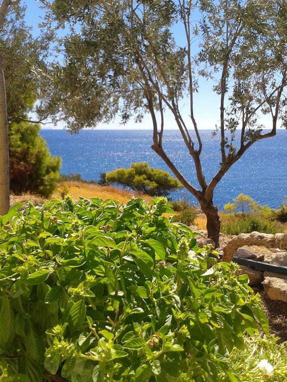 Kavos Bay Seafront Hotel Agia Marina  ภายนอก รูปภาพ