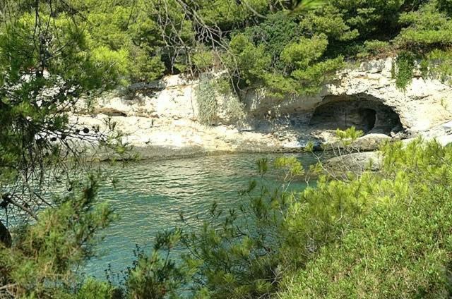 Kavos Bay Seafront Hotel Agia Marina  ภายนอก รูปภาพ